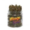 Mango Haze Strain