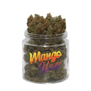 Mango Haze Strain