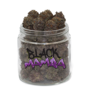 black mamba