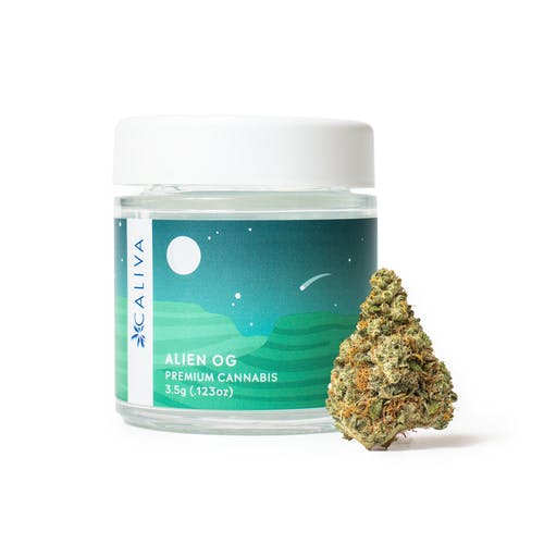 Alien OG Alien OG