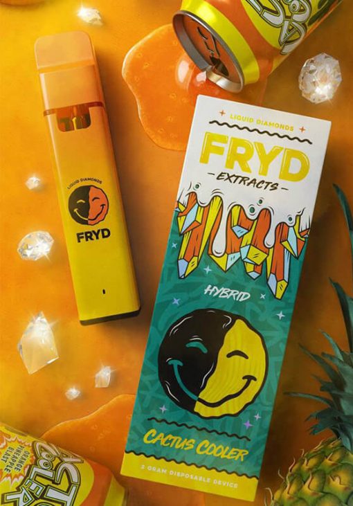 Fryd-Cactus-Cooler-e1684149671661-510x731-1.jpeg