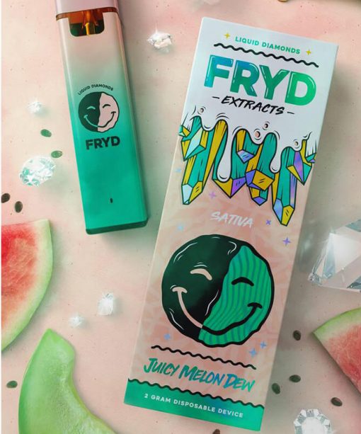 Juicy-Melon-Dew-e1684145586195-510x613-1.jpeg