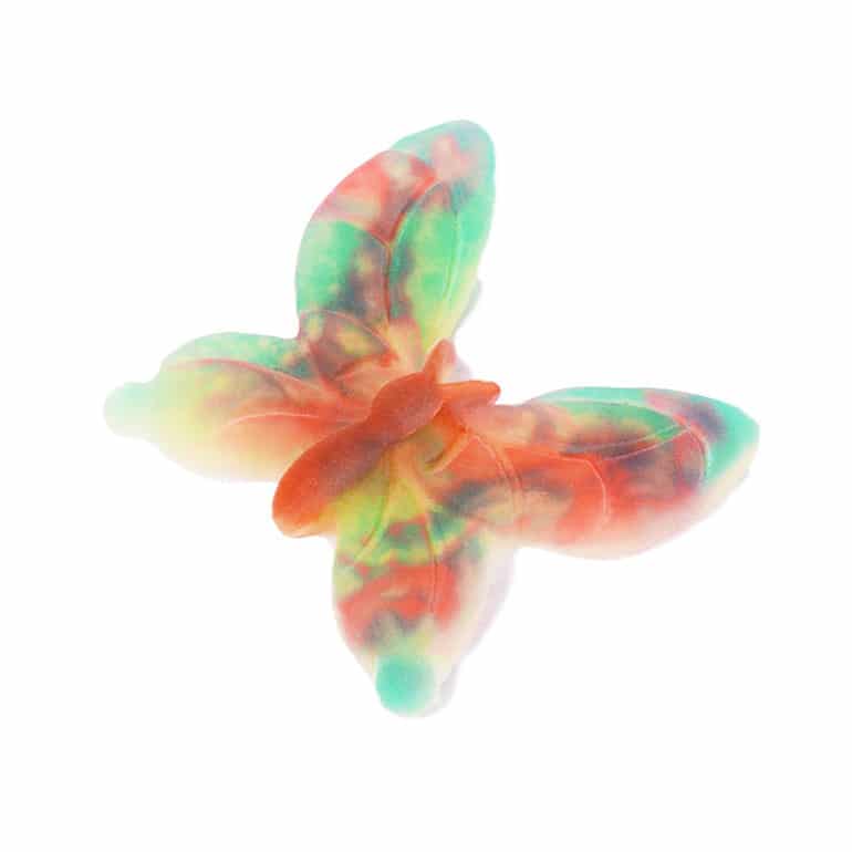 Butterfly-High.jpg