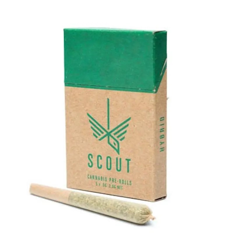 scout-hybrid.jpg